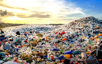 Benarkah Kemasan Plastik Tidak Bisa Terurai di Lingkungan?